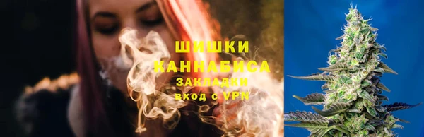 ПСИЛОЦИБИНОВЫЕ ГРИБЫ Арсеньев
