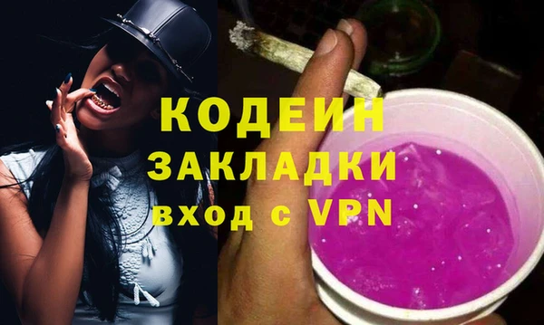 ПСИЛОЦИБИНОВЫЕ ГРИБЫ Арсеньев